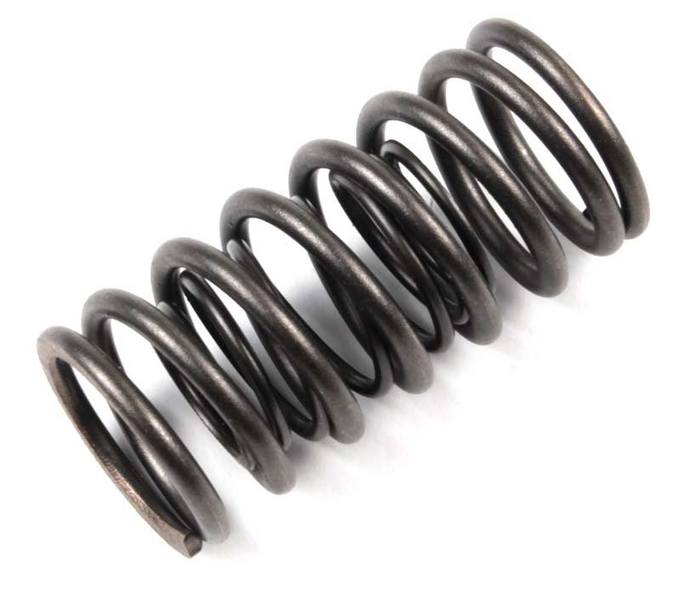 SAAB Engine Valve Spring 55557218